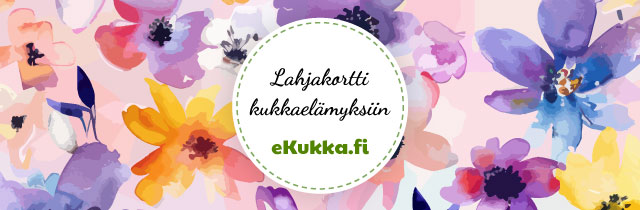 Lahjakortti jossa taustalla vesiväreillä maalattuja kukkia ja keskellä teksti Lahjakortti kukkaelämyksiin - eKukka.fi