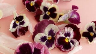Herkuttele kukkasilla - syötävät kukat viimeistelevät juhlapöydän herkut