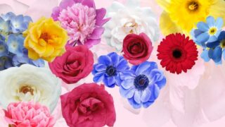Kukat naistenpäiväksi - mitä kukkien värit kertovat?