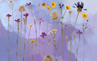 Kukkien taianomainen maailma – kuinka hyvin tunnet kukkien salatut viestit ja taikavoimat?